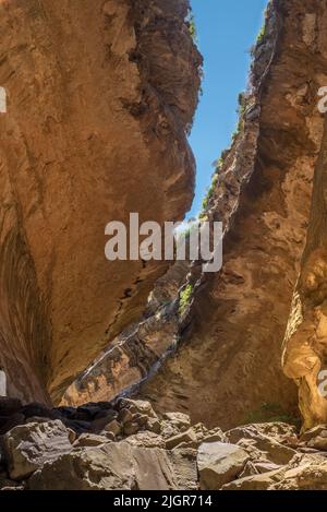 Blick auf die felsige Route zwischen überhängenden Felswänden auf der Echo Ravine Wanderung im Golden Gate Highlands National Park in der Nähe von Clarens, Südafrika Stockfoto