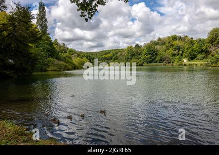 Swanbourne See, Arundel, West Sussex Stockfoto