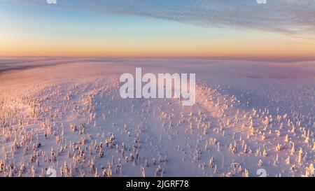 Luftaufnahme des schneebedeckten Waldes auf dem Gipfel des Riisitunturi, Lappland Stockfoto