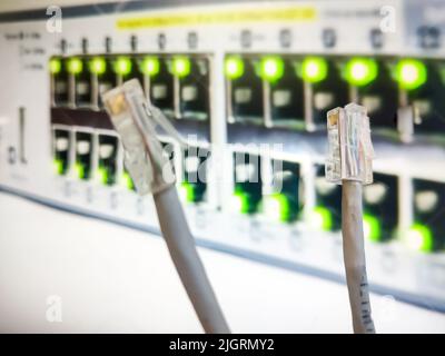 RJ45 Kabelplatten vor einer Schalttafel. RJ45 Pins werden in einer Netzwerktabelle für den Anschluss der Internetgeräte verwendet Stockfoto
