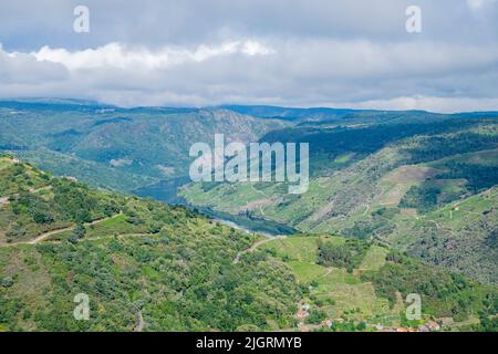 Landschaft der Schlucht des Flusses Sil in der Ribeira Sacra, wolkiger Tag. Galicien, Spanien. Stockfoto