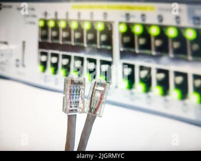RJ45 Kabelplatten vor einer Schalttafel. RJ45 Pins werden in einer Netzwerktabelle für den Anschluss der Internetgeräte verwendet Stockfoto