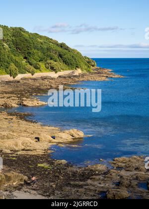 Küste von Pendennis Point, Castle Beach, Falmouth, Cornwall, England, GB, GB. Stockfoto