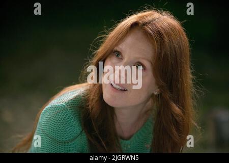 JULIANNE MOORE, DON JON, 2013 Stockfoto