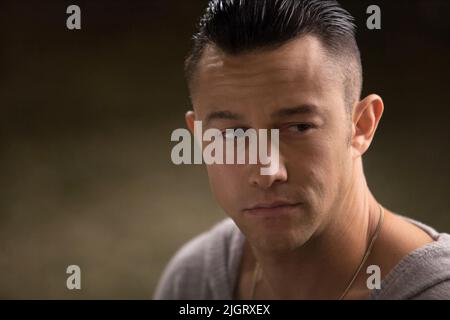 JOSEPH GORDON-LEVITT, DON JON, 2013 Stockfoto