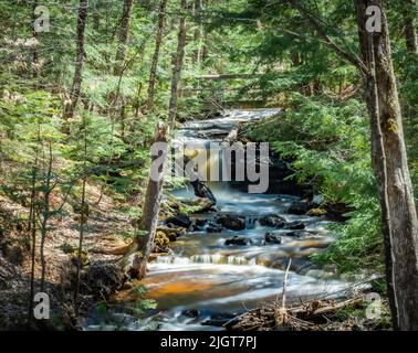 Ein kleiner Wasserfall an einem Tanninbach entlang des Chapel Rock Wanderweges auf der Upper Peninsula of Michigan in der Nähe der Pictured Rocks National Shoreline. Stockfoto