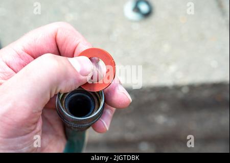 Die neue Gummidichtung wird in einer Innenverbindung des Gartenschlauchs ausgetauscht, um eine wasserdichte Kupplung zu haben. Stockfoto