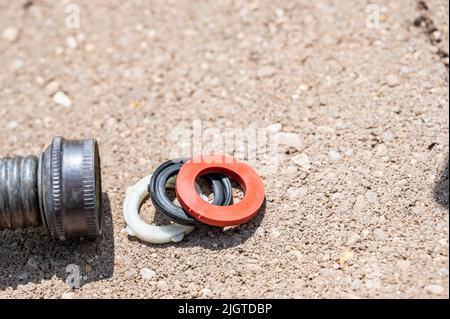 Die neue Gummidichtung wird in einer Innenverbindung des Gartenschlauchs ausgetauscht, um eine wasserdichte Kupplung zu haben. Stockfoto