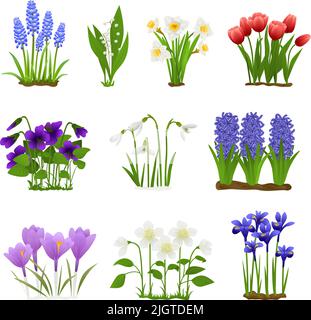 Frühling Blumen flache Satz von isolierten Ikonen mit Bildern von Blumenblüten mit Gras und Blätter Vektor-Illustration Stock Vektor