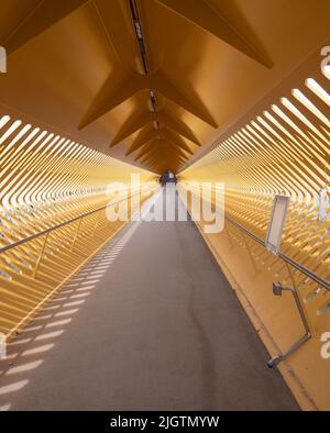 Der Eingang zum Kreuzfahrtponton und das Kreuzfahrtterminal für die Anlegestelle von Kreuzfahrtschiffen am Jordaenskaai am rechten Ufer der Stadt Antwerpen Stockfoto