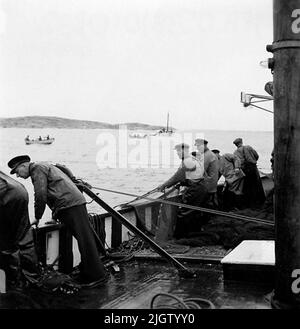 Mollön im Hintergrund. V.: Karl Karlsson, Sven Stenman, per Karlsson, Axel Andreasson, Knut Andersson. Eine Reihe von Männern ziehen die Snörpvaden an Bord eines Fischerboots. Stockfoto