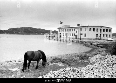 Fotografiert von: Lennart Nilsson auf der Rückseite geschrieben: Die Industrie der Konintenindustrie Bovallsrtand 58/174 Stockfoto