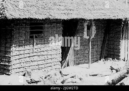 Afrikanische Reise, zanzibars einfach Erwerb: Bücher und Archivmaterial.35 Bilder in Serien. Das Foto wurde ungefähr 1961-09-12 aufgenommen. Ein Wohnhaus mit Vasendächern und Bambuswänden. Bambus aus Bambus in den Wänden wurde hinzugefügt. Stockfoto