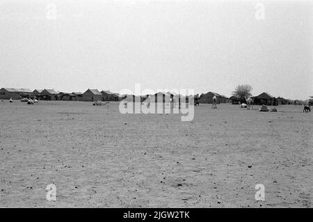 African trip, Port Sudden Acquisition: Bücher und Archivmaterial.36 Bilder in Serien. Das Foto wurde ungefähr 1961-08-22 aufgenommen. In einer Wüstenlandschaft befindet sich eine Ansammlung von Wohngebäuden. Vor den Häusern sind einige Kamele. Stockfoto