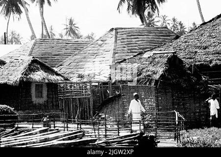 Afrikanische Reise, zanzibars einfach Erwerb: Bücher und Archivmaterial.35 Bilder in Serien. Das Foto wurde ungefähr 1961-09-12 aufgenommen. Ein Mann geht in einem umzäunten Garten vor einigen Wohngebäuden. Stockfoto