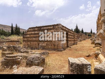 Ruinen der Umayyad Aanjar im Beeka-Tal, gouvernement Beqaa, Anjar, Libanon Stockfoto