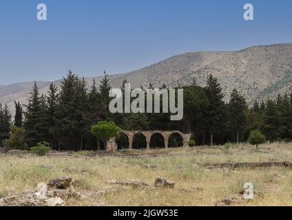 Ruinen der Zitadelle von Umayyad, Beqaa Governorate, Anjar, Libanon Stockfoto