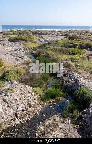 Der Rio Loa oder Loa River ist der einzige Fluss, der aus der Atacama ...