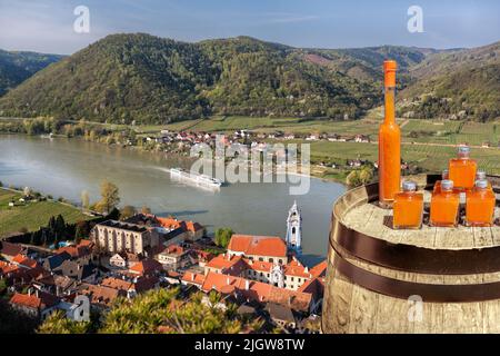 Dürnstein Dorf mit Aprikosen Getränke auf Fass während der Frühjahrszeit in Wachau, Österreich Stockfoto