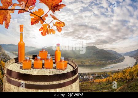 Aprikosen trinken auf Fass gegen Spitz Dorf mit Donau, Österreich Stockfoto