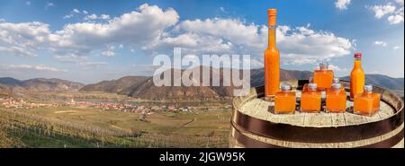 Panorama des Dorfes Weissenkirchen mit Aprikosengetränken auf Fass in der Wachau, Österreich Stockfoto