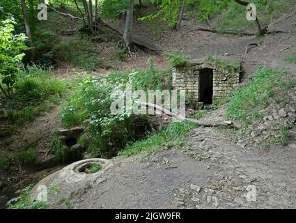 Geheimnisvolle Steintür mitten im Wald Stockfoto