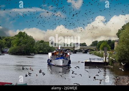 Richmond-upon-Thames, England Stockfoto