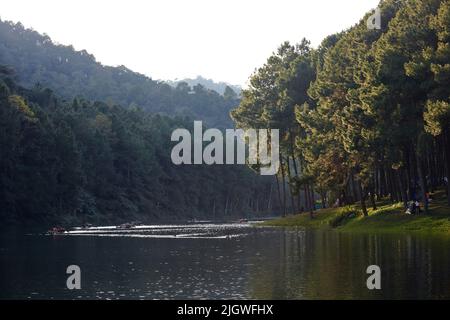 Der Reisende auf Bambusfloß im See mit Camping in Urlaub in Pang Oung in Thailand Stockfoto