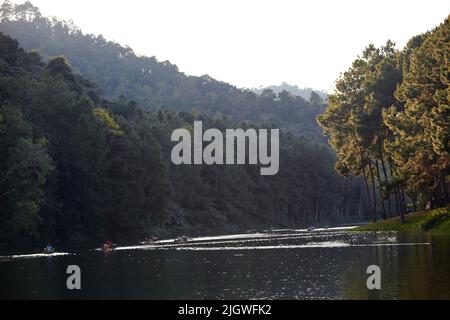 Der Reisende auf Bambusfloß im See mit Camping in Urlaub in Pang Oung in Thailand Stockfoto