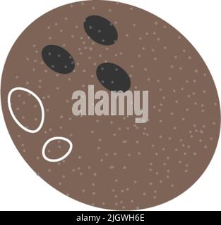 Ganze Kokosnuss, exotische tropische Früchte, Vektor Stock Vektor