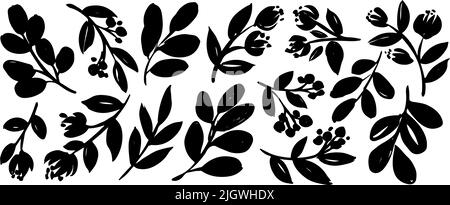 Pflanzen Sie Zweige mit kleinen Blättern und Blüten. Stock Vektor