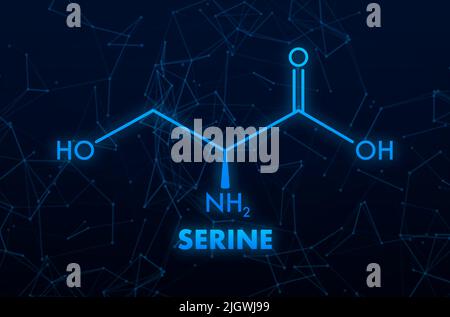 Serinformel. Serin oder l-Serin, Ser, S, Aminosäuremolekül. Stock Vektor