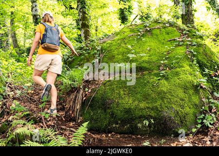 Rückansicht einer jungen Frau in Gelb mit Rucksack, die im Sommer neben grünem Moosstein im Sommerwald spazierengeht aktiv gesund leben Schönheit in der Natur Stockfoto