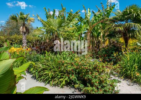 Exotic,Garden,RHS Wisley,Wisly,England,Großbritannien Stockfoto