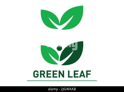 Pflanze Blatt Logo Vektor Zeichnung Stock Vektor