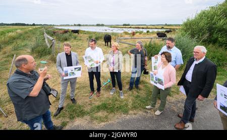 13. Juli 2022, Niedersachsen, Rehburg-Loccum: Thomas Beister (l-r), Ökologische Schutzstation Steinhuder Meer (ÖSSM), Holger Buschmann, NABU-Präsident Niedersachsen, Olaf Lies (SPD), Umweltministerin Niedersachsen, Barbara Otte-Kinast (CDU), Landwirtschaftsminister Niedersachsen, Thomas Brandt, ÖSSM, Holger Hennies, Präsident Landvolk Niedersachsen, Susanne Gerstner, Die Vorsitzende des Bund Niedersachsen und Karl-Friedrich Meyer, Niedersächsische Landwirtschaftskammer, stehen während einer Exkursion im Naturschutzgebiet Meerbruchswiesen am Steinhudersee auf. Am Mittwoch, dem zweiten Jahresbericht über die "Niedersachsen Stockfoto