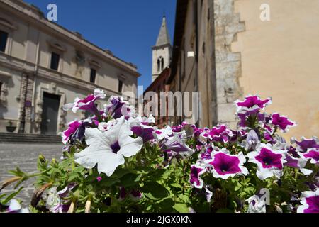 Eine Blumenvase auf einem Platz in Sulmona, einem italienischen Dorf in den Abruzzen. Stockfoto