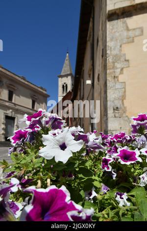 Eine Blumenvase auf einem Platz in Sulmona, einem italienischen Dorf in den Abruzzen. Stockfoto