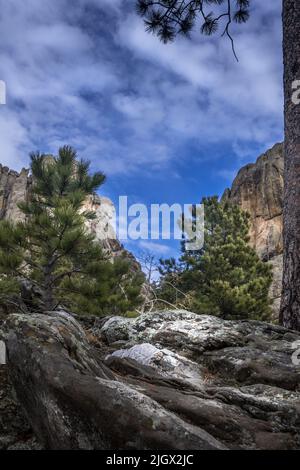 Mount Rushmore Profil in Perspektive Stockfoto