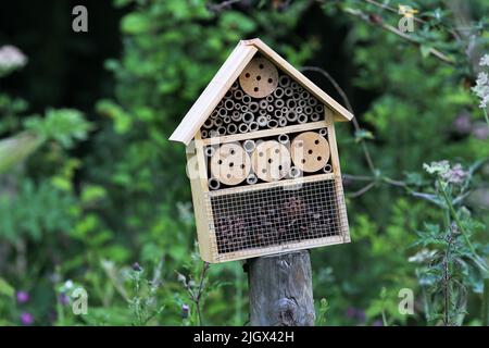 Bug Hotel, Großbritannien Stockfoto