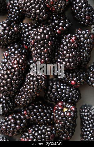 Schwarze reife Brombeeren, Nahaufnahme von oben. Stockfoto