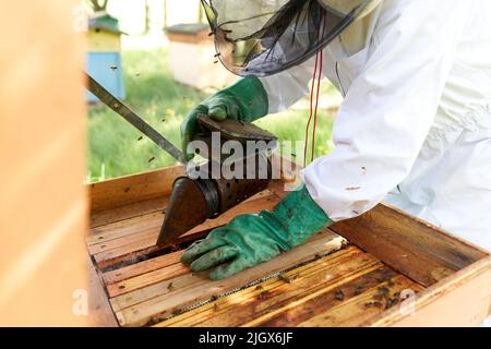 Imker in Schutzkleidung, die Rauch in einen künstlichen Bienenstock wirft Stockfoto