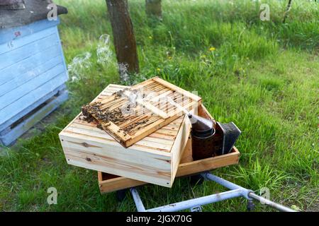 Traditioneller Rauchkanister zum Abschrecken von Bienen auf Schubkarren im Freien Stockfoto