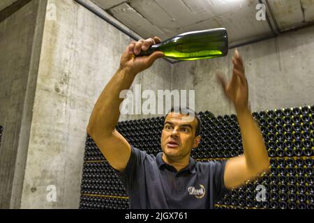 Frédéric Raspail zeigt das Weingut, in dem Crémant auf traditionelle Weise aus Clairette-Trauben hergestellt wird. Saillans, Drôme, Frankreich Stockfoto