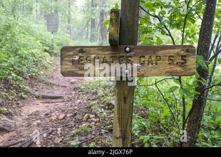 Wegweiser in Richtung Tesnatee Gap bei Neels Gap auf dem Appalachian Trail in der Raven Cliffs Wilderness in den Blue Ridge Mountains im Nordosten Georgiens. (USA) Stockfoto