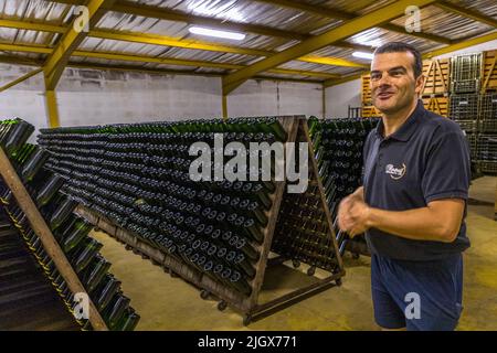 Frédéric Raspail zeigt das Weingut, in dem Crémant auf traditionelle Weise aus Clairette-Trauben hergestellt wird. Saillans, Drôme, Frankreich Stockfoto