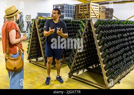 Frédéric Raspail zeigt das Weingut, in dem Crémant auf traditionelle Weise aus Clairette-Trauben hergestellt wird. Saillans, Drôme, Frankreich Stockfoto