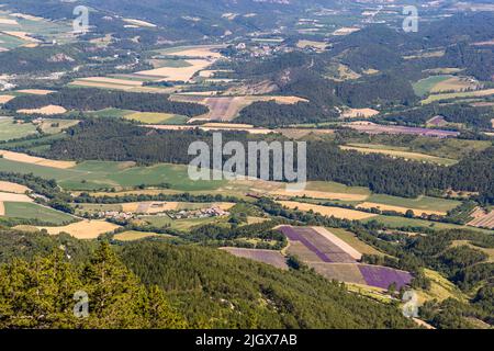 Blick vom Plateau auf die Ebene. Im Juni und Juli säumen violette Lavendelfelder die Landschaft im Drome-Tal. Auf dem Plateau des Serre Chauvière können Sie einen Blick über das obere Drôme-Tal in Frankreich werfen Stockfoto