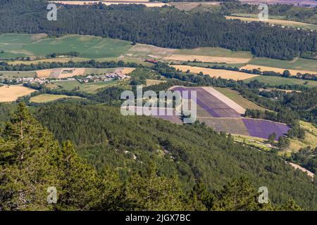 Auf dem Hochplateau von Serre Chauvière blickt man über das obere Drôme-Tal, Frankreich Stockfoto
