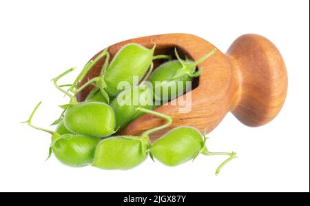 Grüne Kichererbsen in Holzlöffel, isoliert auf weißem Hintergrund. Kichererbsen in den Schoten. Cicer arietinum. Beschneidungspfad Stockfoto